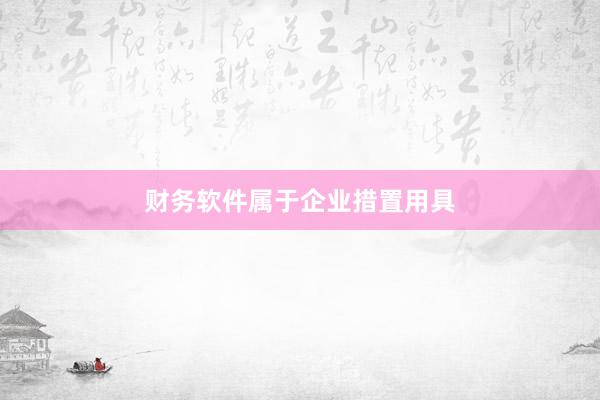财务软件属于企业措置用具